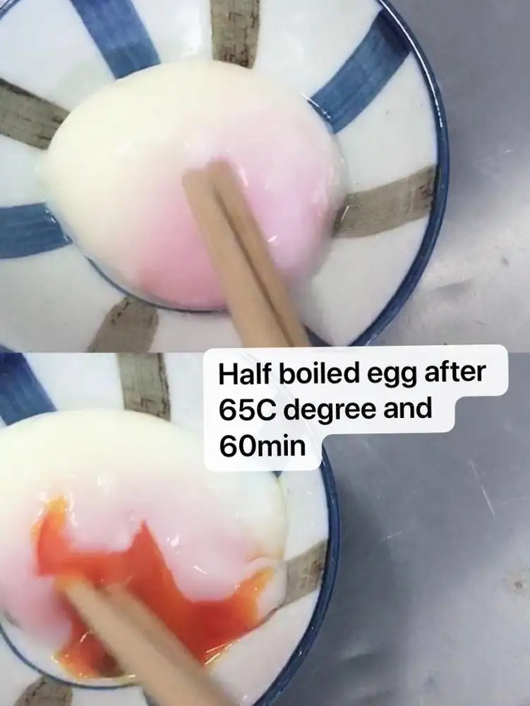 Stainless steel  tank all area even heated no crowded problem bulk qty sous vide cooking Commercial  6L half boiled egg cooker