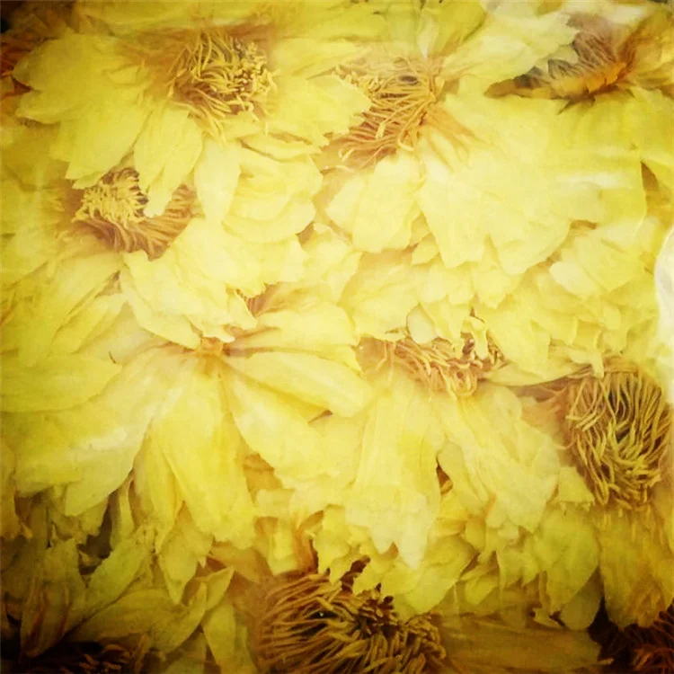 
Huang lian hua dried yellow lotus flower newest product hot sell yellow Lotus flower 