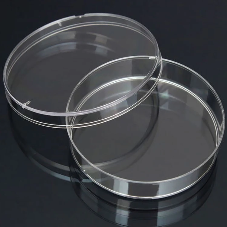 
medical laboratory glassware lab petri dish 