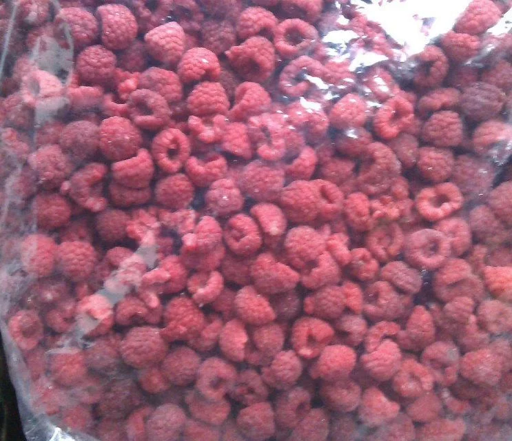 HACCP Certified Frozen IQF Raspberry Whole/ Broken/ Crumbles