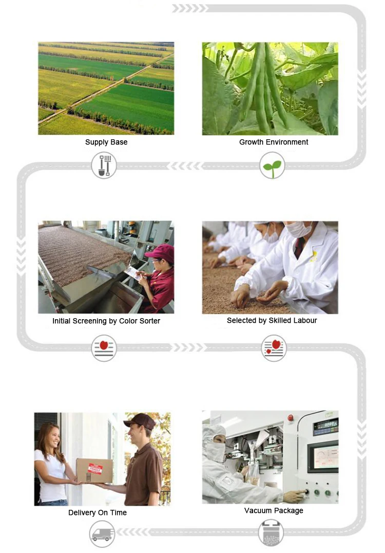 
Green mung beans Uzbekistan organic mung beans seeds mung bean 