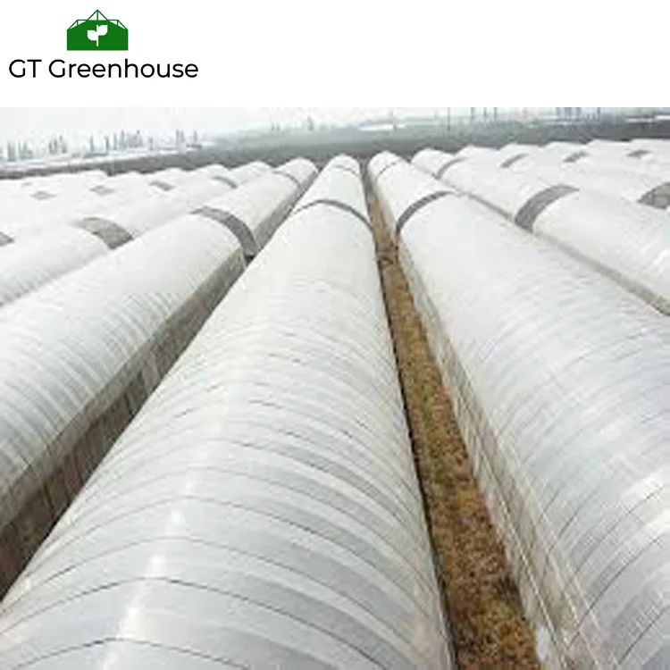 Factory Sale High Quality Plastic Film for Single Span Greenhouses and Multi Span Greenhouse