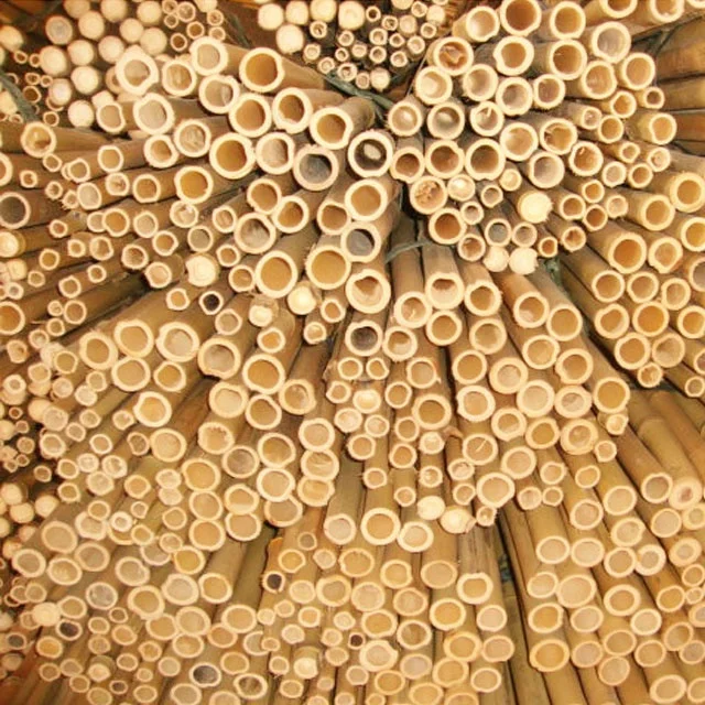 strong garden plant support bamboo pole/sticks/canes.
