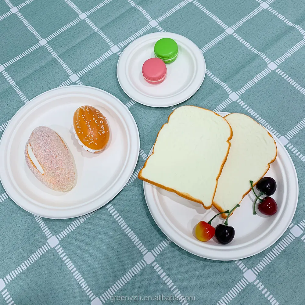 Bio compostable  degradable tableware dinner sets 9 inch disposable sugarcane bassage paper pulp plate