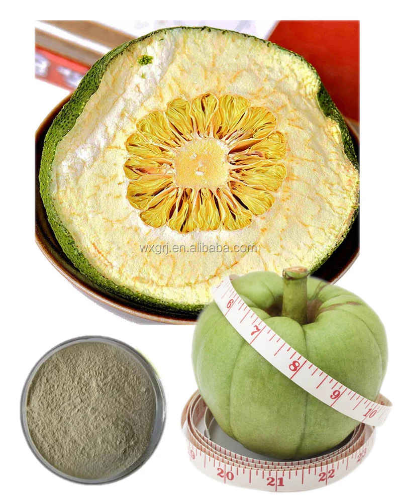 Garcinia Cambogia Extract Hydroxycitric Acid 60% Powder OEM Service