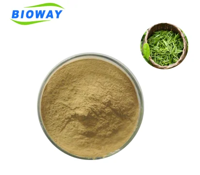 
2018 hot sell Organic green tea extract 