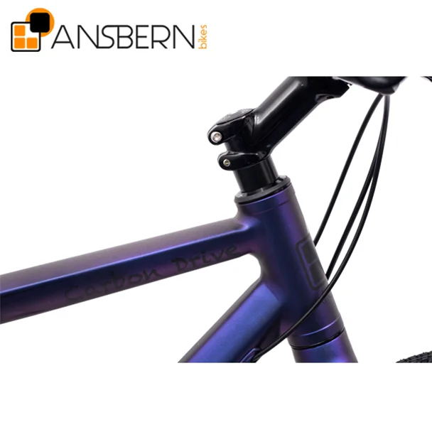 
2019 Ansbern High End City Bike 7 Speed Belt Drive City Star Bike Bicycle 