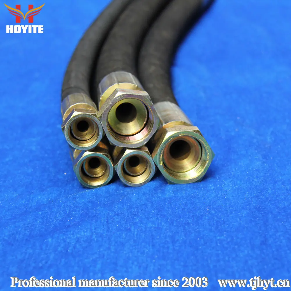 High Pressure Power Steering Brake Hydraulic Hose Assembled with Fittings