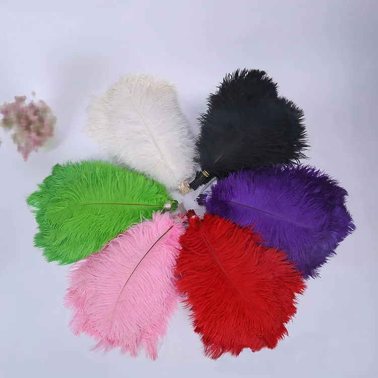 South Africa Factory Natural Cheap Color Ostrich Feather Wholesale