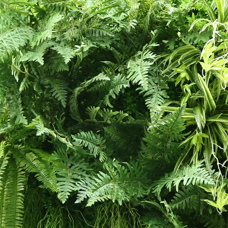 2019 trending outdoor/ indoor artificial moss grass for artificial vertical garden green wall panel home decoration