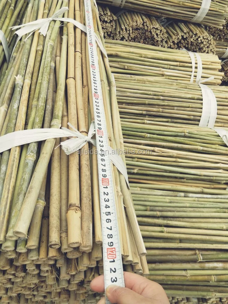 large number of wholesale agricultural bamboo