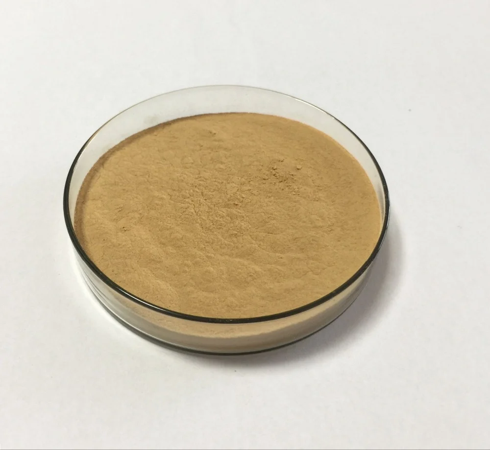 
High quality cordyceps sinensis extract 4:1 