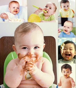 
GMO Free and Organic Bulk Rice Protein for Health Food 