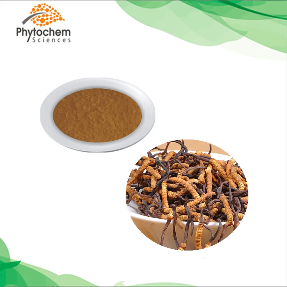 
Yarsagumba price yartsa gunbu polysaccharide powder cordycepin ergosterol adenosine cordyceps sinensis extracts 