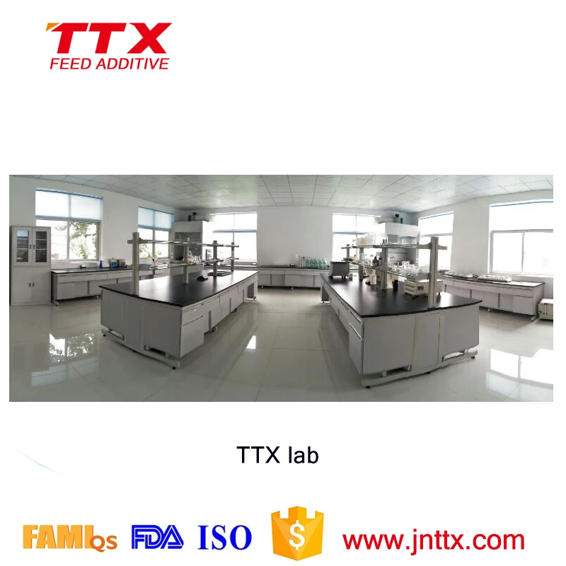 
Keratinase as a high quality alkaline protease enzyme 