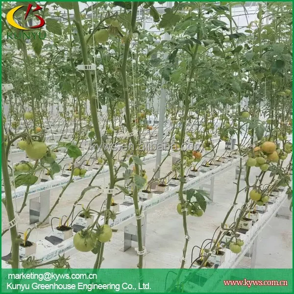 Hydroponic gutter for strawberry tomato pepper hydroponic trough for greenhouse