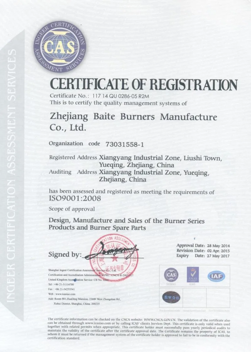 BTN210GN CNG NG gas burner chinese supplier