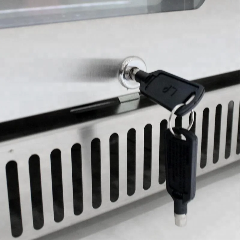 LVNI hot sale 230L stainless steel 2 glass door bar drink beer bottle refrigerator for club