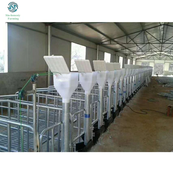 High quality Semi-auto feeder for pig feeding system