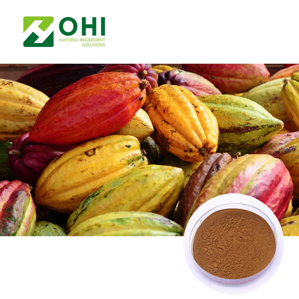 High Quality Cocoa Extract/Raw Organic Cocoa Powder/Black Cocoa Powder