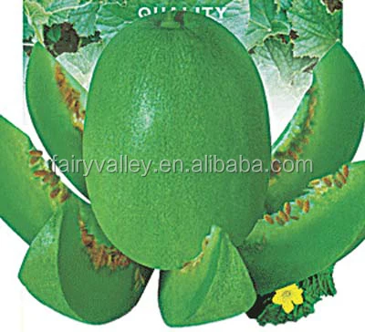 Hybrid green melon seeds for growing honey No.4