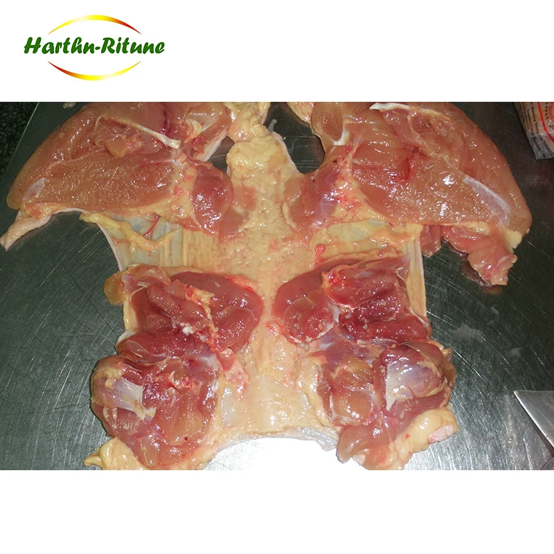 Best selling halal whole frozen whole chicken boneless leg