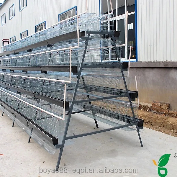 
Многослойные птицефермы, куриные клетки, яйца в Индии 