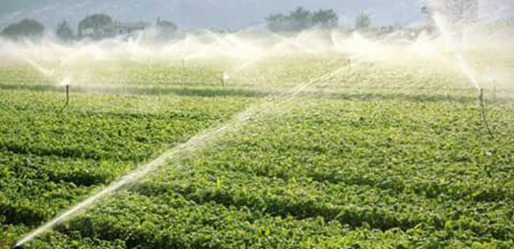 
JS3-1.8-60 solar water pump system solar deep well submersible pump for agriculture 