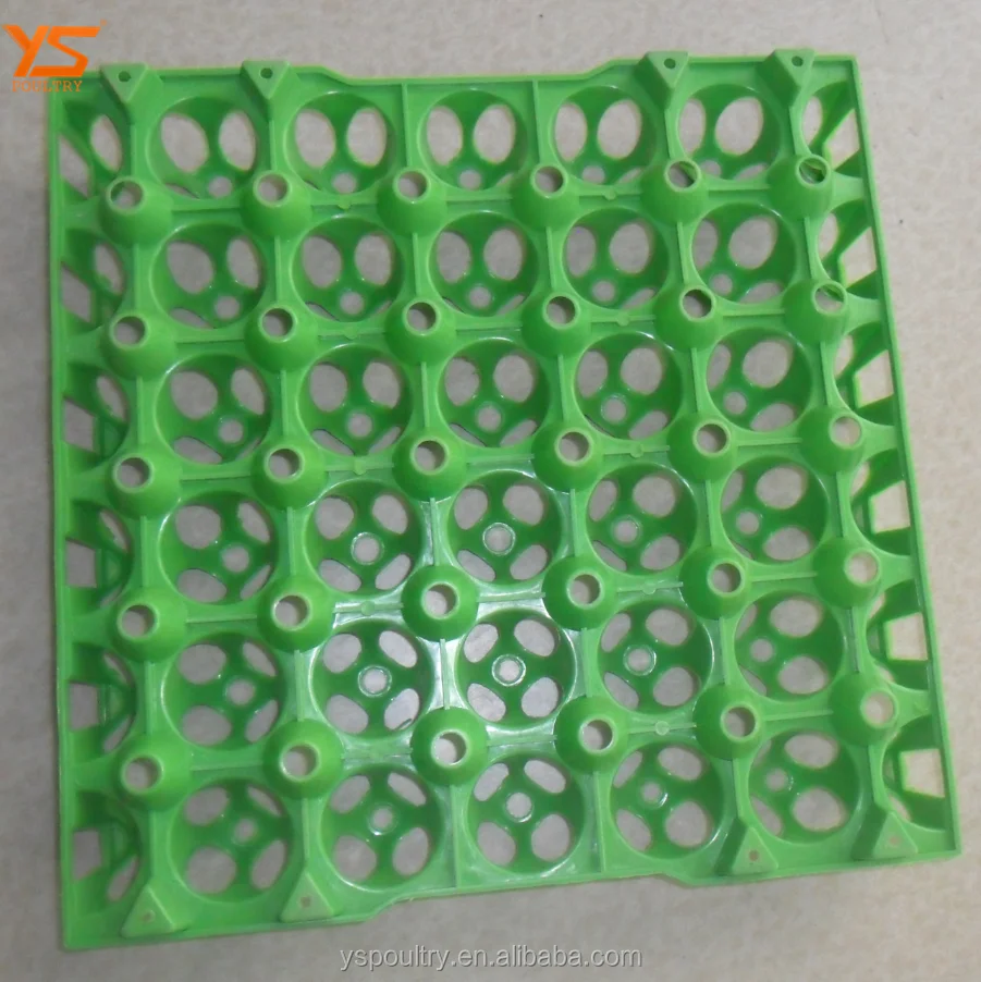 Factory Sale Plastic Egg Tray Made By PE Plastic