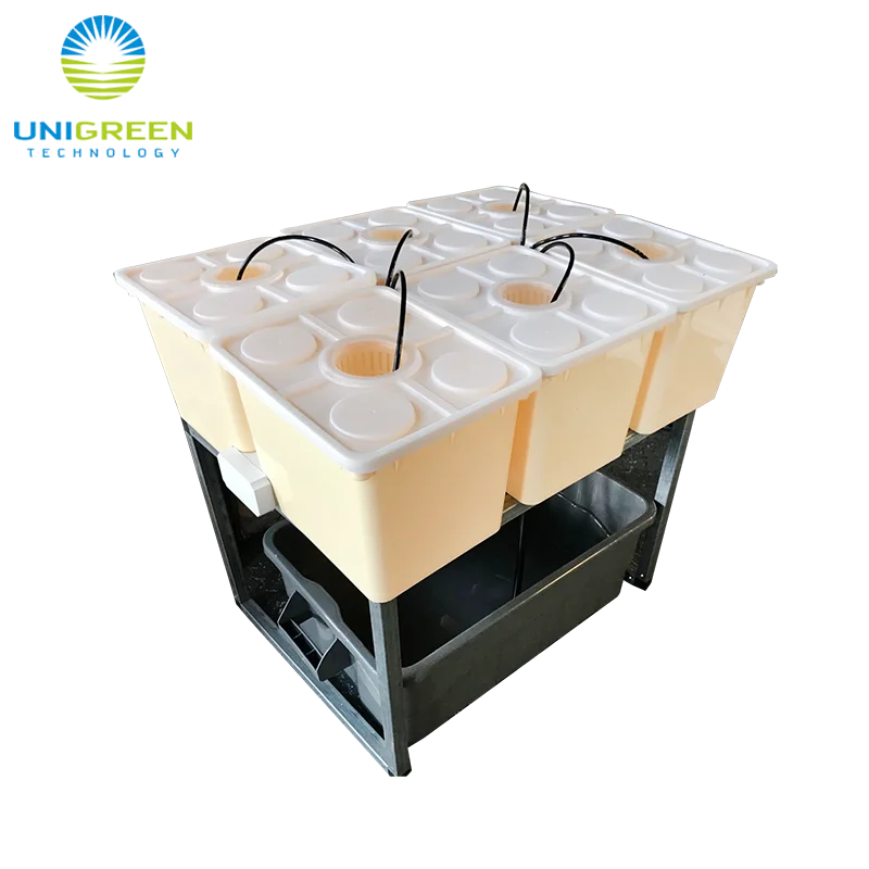 Standard Size 11 Liter Hydroponic Growing Dutch Buckets Square Planting Barrel For Tomato