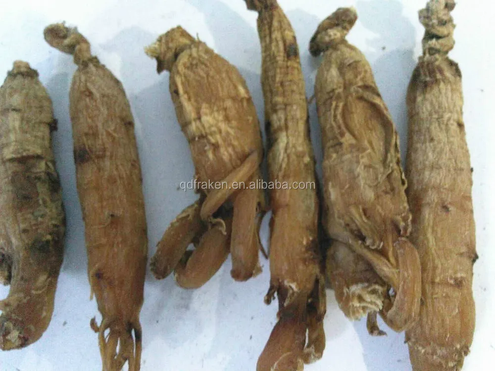 
High Quality Dried Red Ginseng Root 