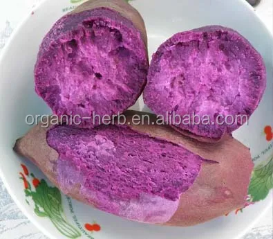 Natural Pigment Purple sweet potato extract