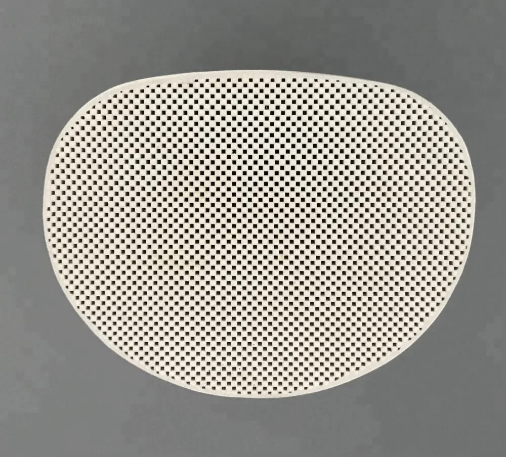 DPF for diesel cars/city buses/heavy trucks/forklifts .