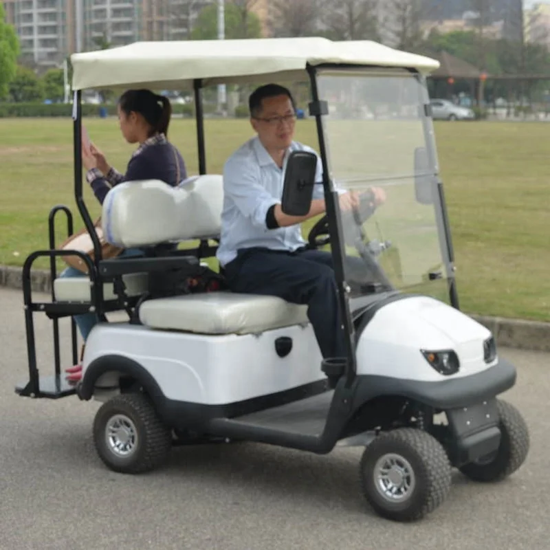 cheap two person electric golf cart for sale with golf bag holder