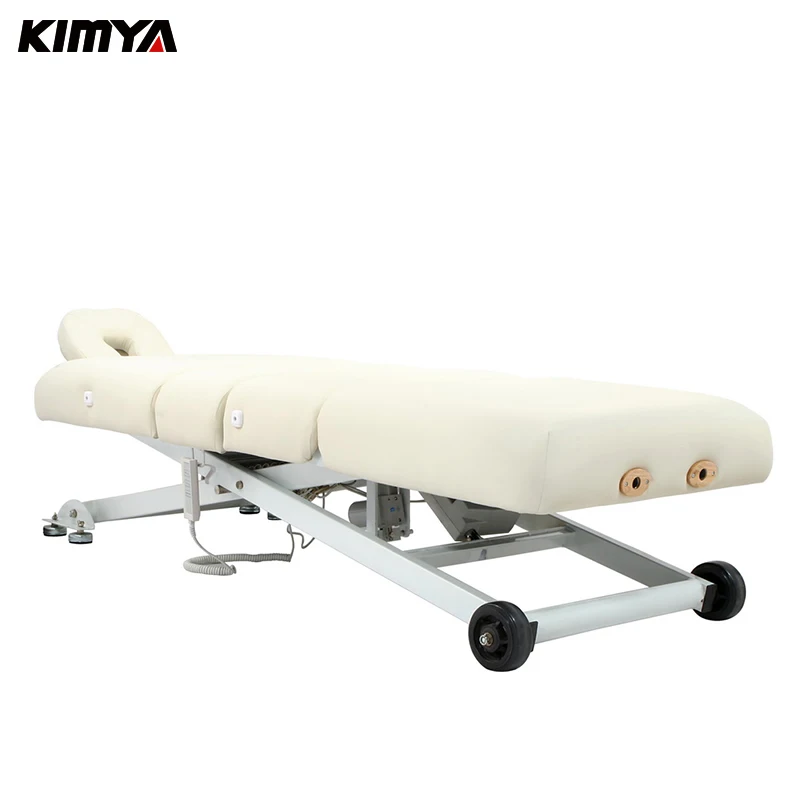 Factory supply high quality salon spa club furniture equipment 3 motors electric cheap beauty beds