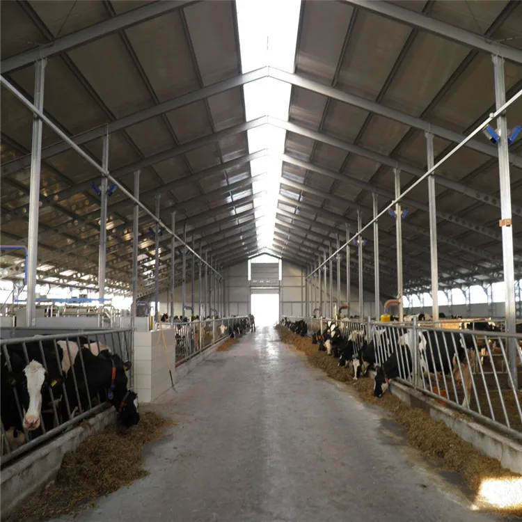 Cow Shed Farm Sheds Prefabricated Steel Structure Building Design Cow Farm Shed