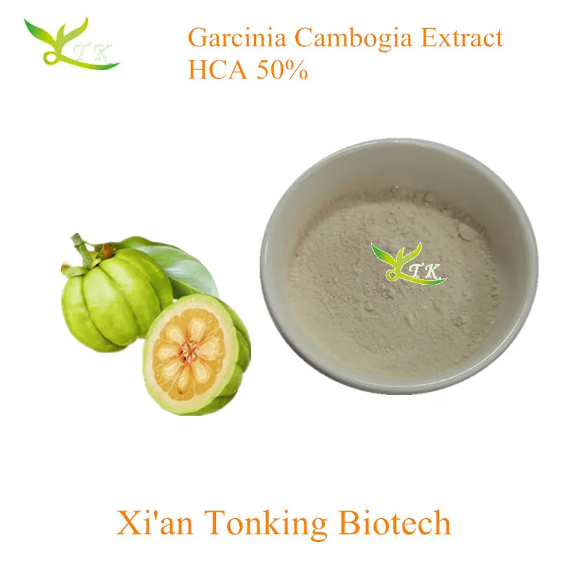 
Natural India raw material 60% HCA garcinia cambogia extract powder 