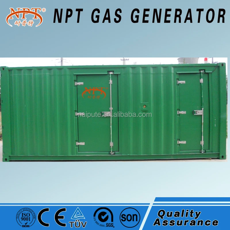 CE approved 10-300kW biogas electric generator biogas plant