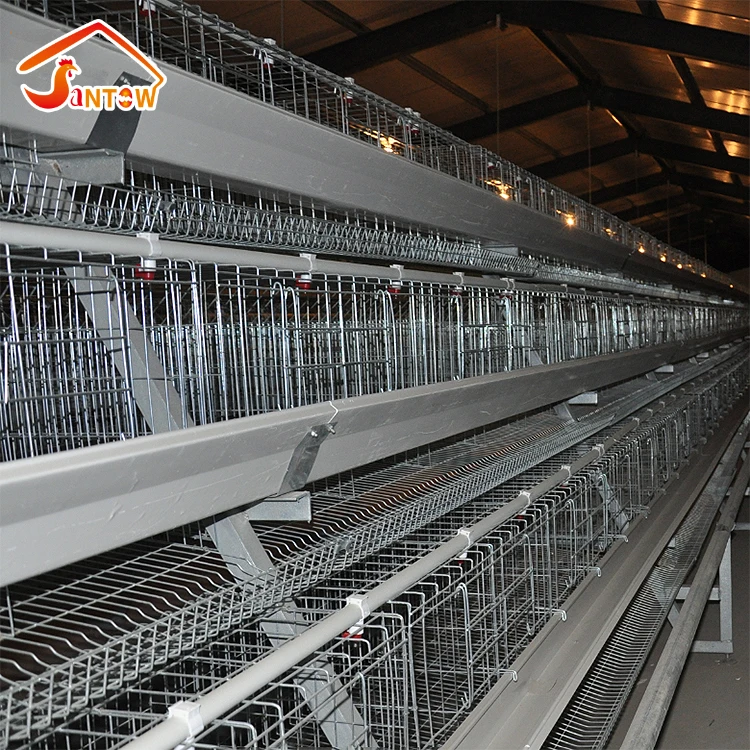 layer chicken cage of poultry equipment for sale in Nigeria Q235 steel galvanized one old day  chicks rearing battery cage