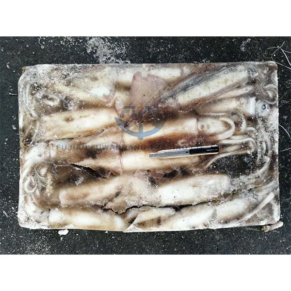High Quality Frozen Whole Round Todarodes Squid for sale