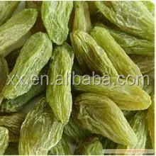 
chinese sun dried xinjiang green raisins for export 