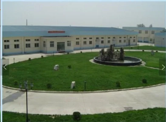 
antibiotic medicine florfenicol injection 30% for veterinary use 