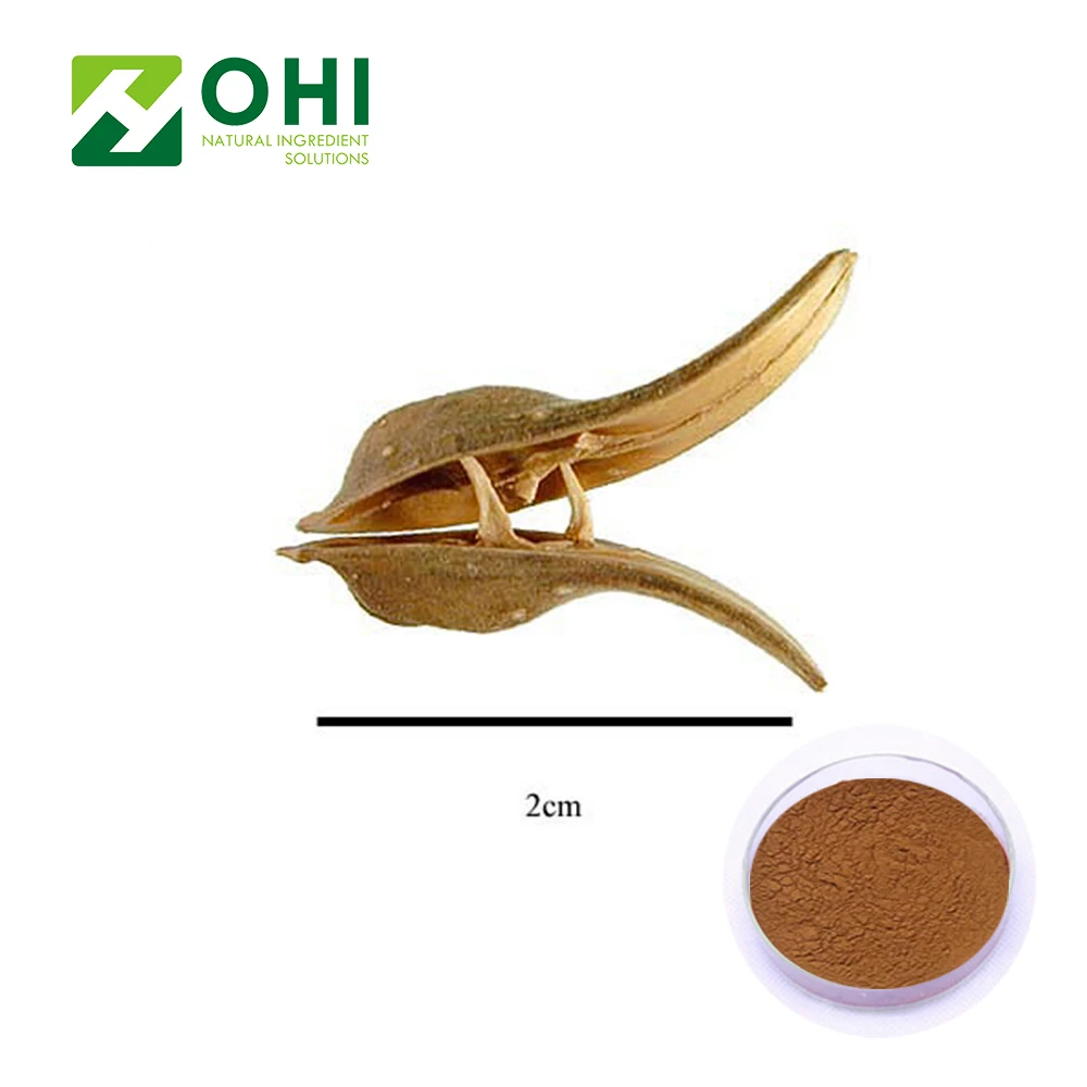 Vasa 98% Vasicine | Adhatoda Vasica Nees extract 10:1