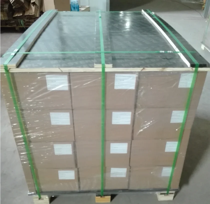 Matte Eco Solvent Inkjet Printable Front Printing PET Backlit Film