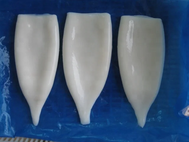 Оптовая продажа, замороженный кальмар todarodes/illex