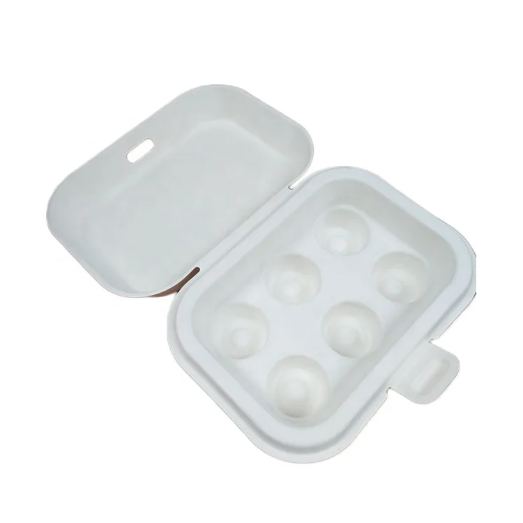 Custom biodegradable paper pulp molded packaging box with print