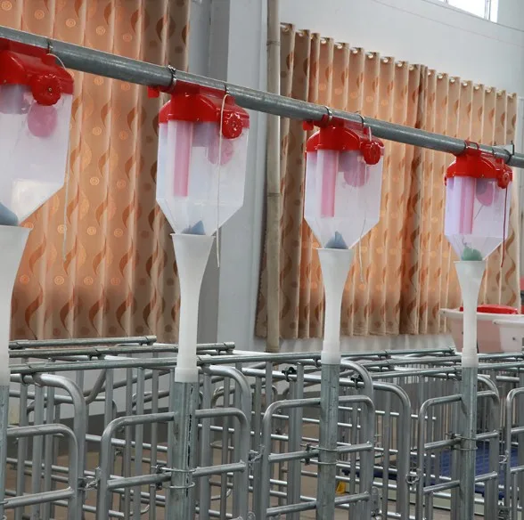 Pig Through Pig Automatic Feeder Feeding Troughs for Pigs