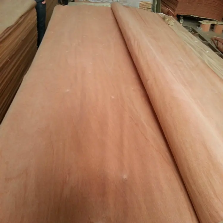 
Cheap sapeli veneer sheets price in india for plywood 