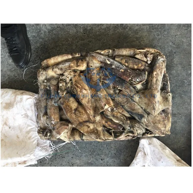 frozen seafood peru squid giant squid price