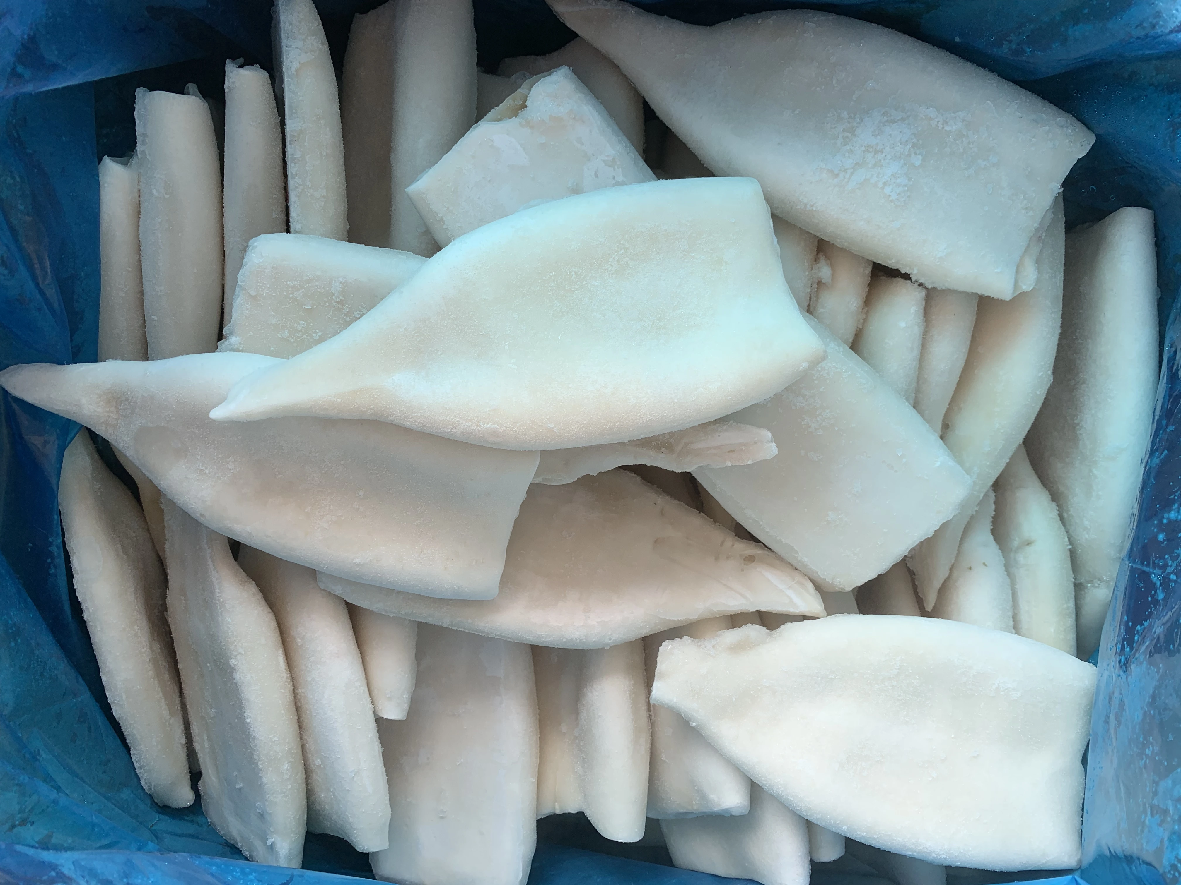 best frozen giant squid tube dosidicus giga